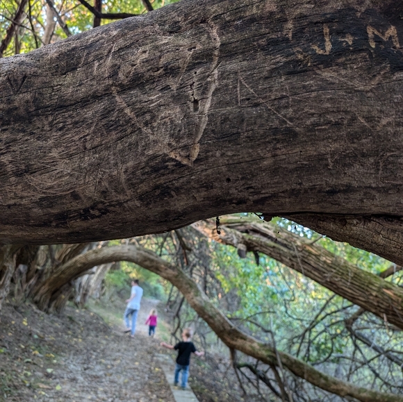 Meet your Posher, Michaele - Picture 2 of 2